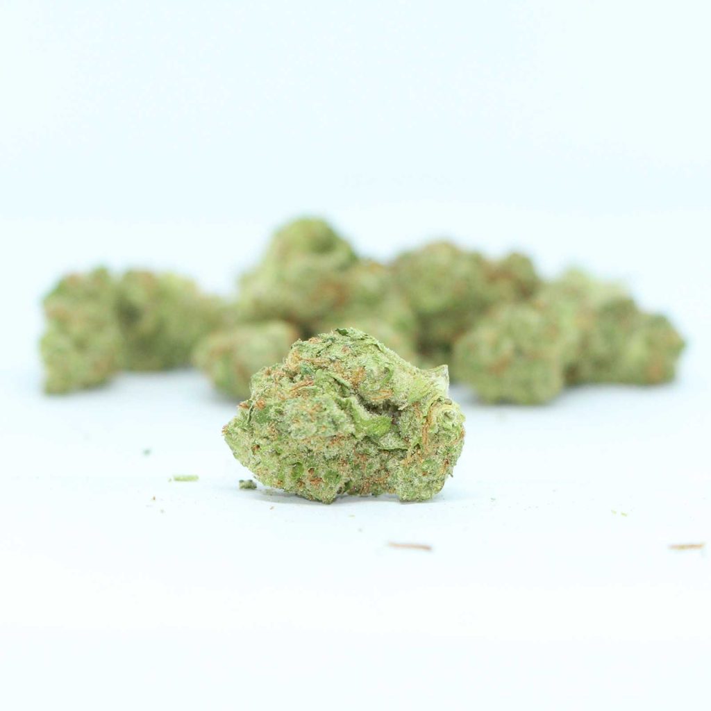 melt gmo cookiez review cannabis photos 4 cannibros