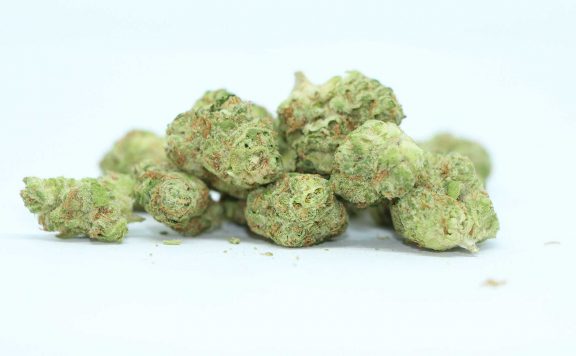 melt gmo cookiez review cannabis photos cannibros