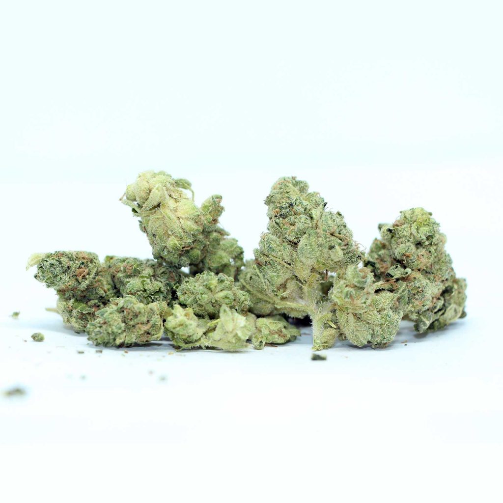 muskoka grown chem og review cannabis photos 3 cannibros