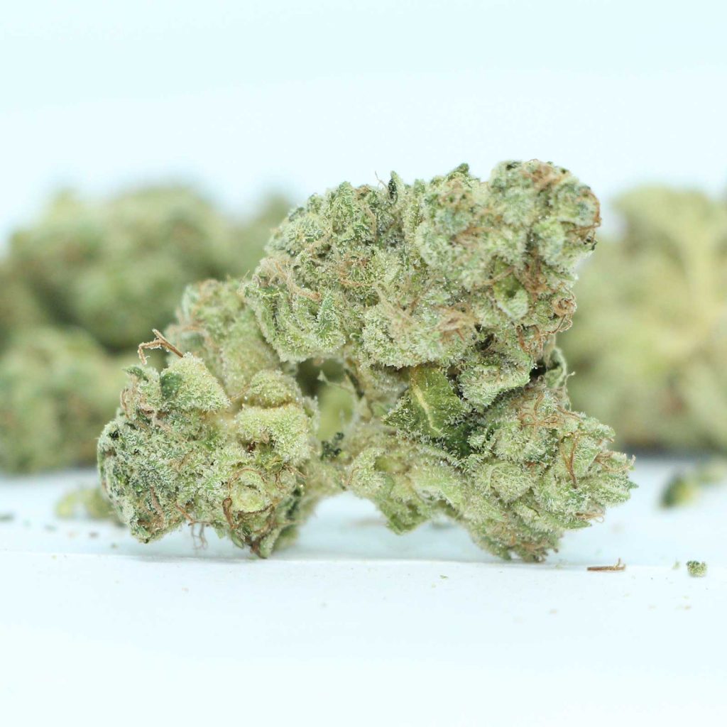 muskoka grown chem og review cannabis photos 4 cannibros