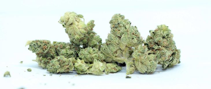 muskoka grown chem og review cannabis photos cannibros