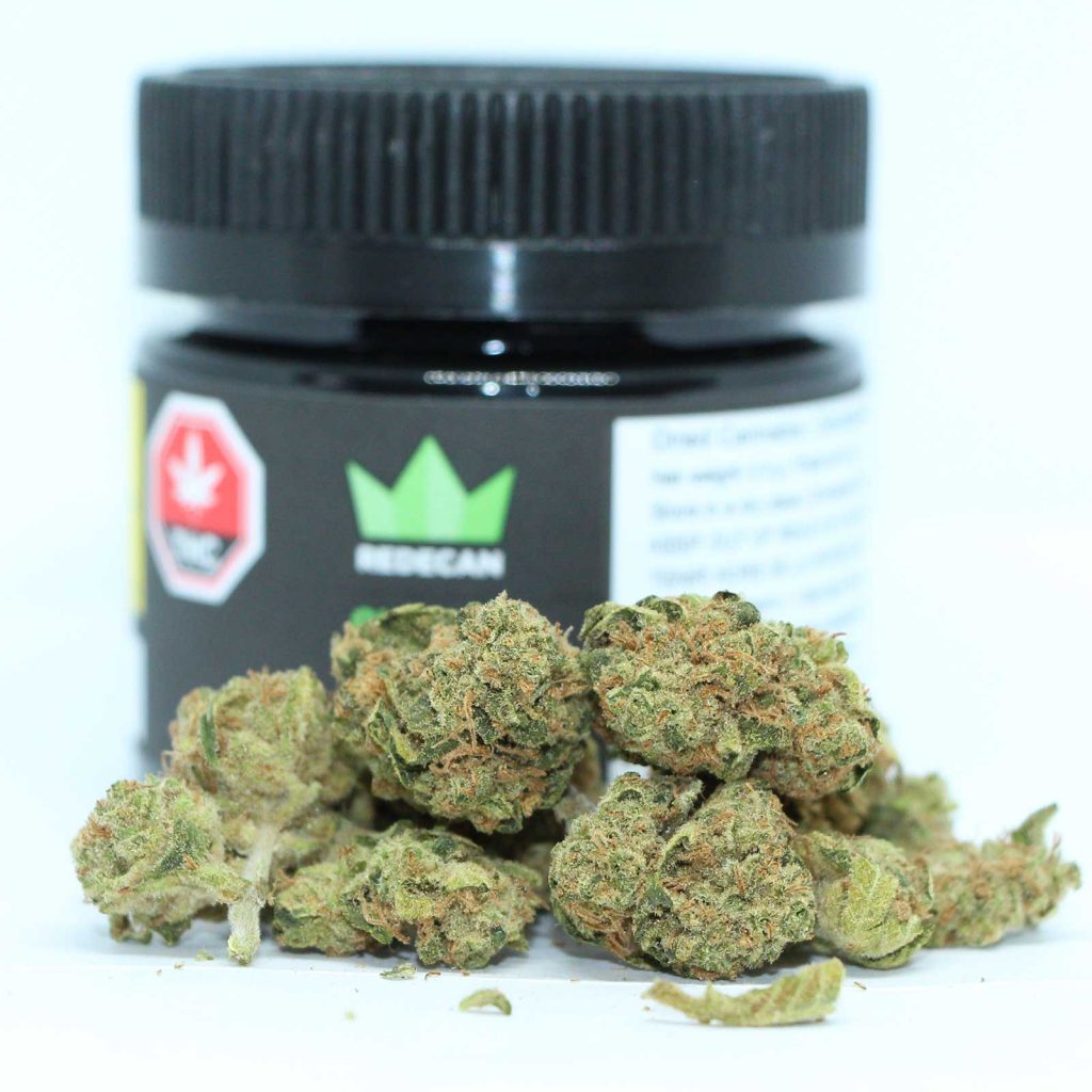 redecan outlaw review cannabis photos 3 cannibros