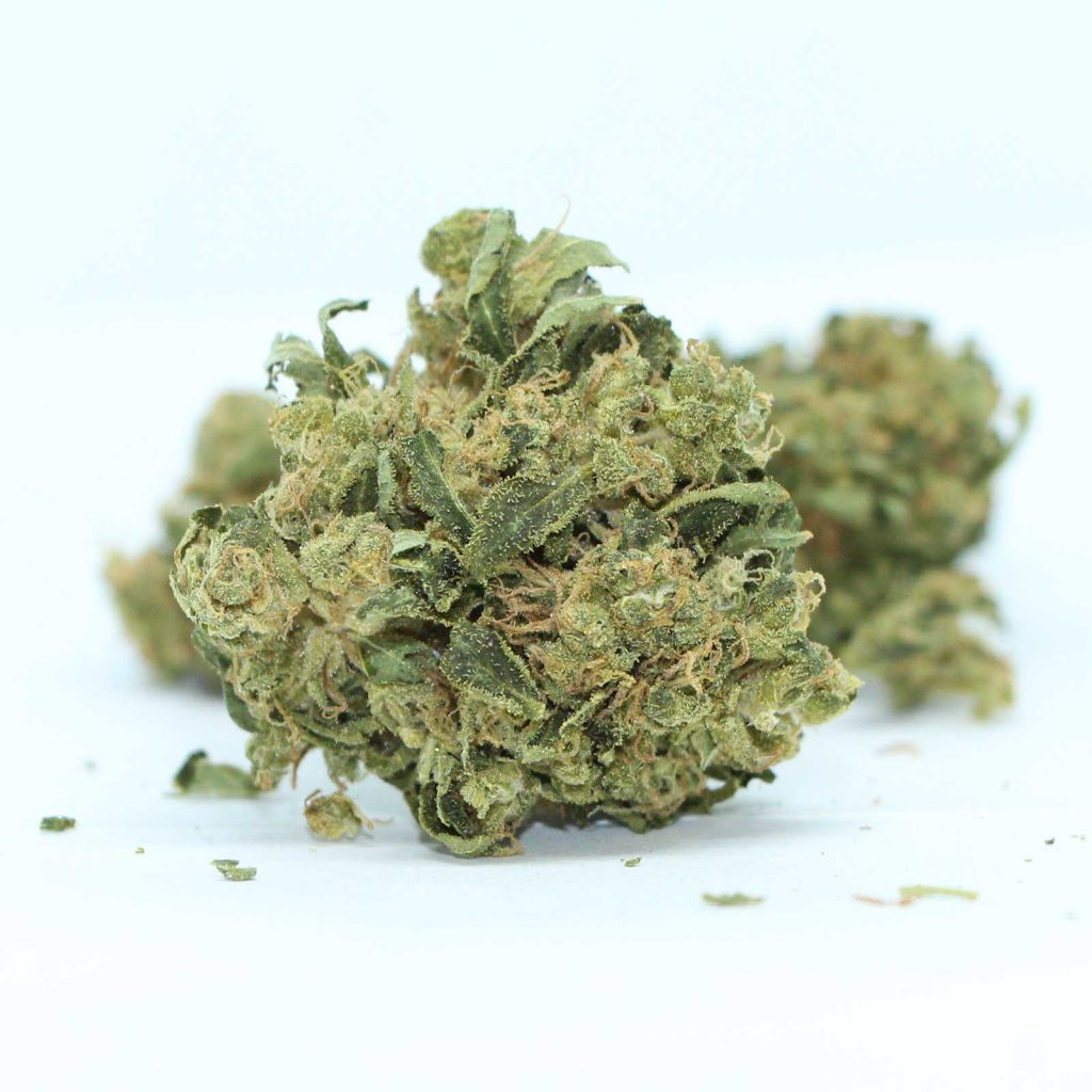 solei chocolate cheeseback review cannabis photos 4 cannibros