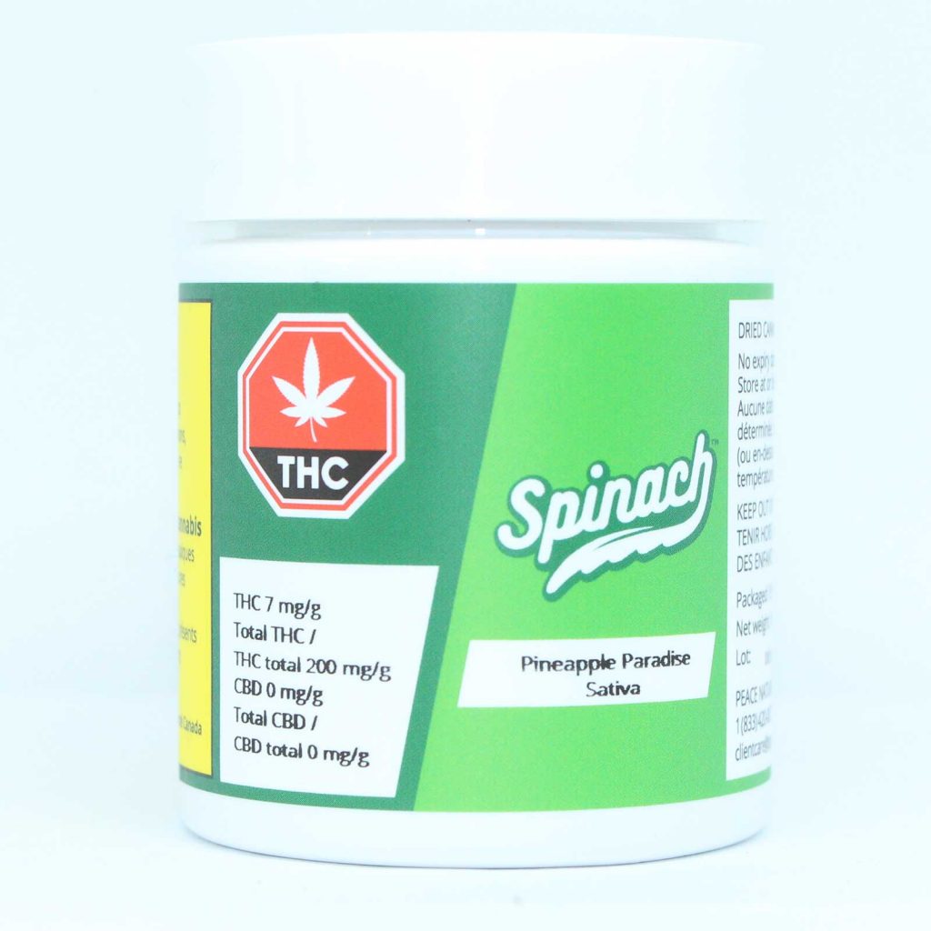 spinach pineapple paradise review cannabis photos 1 cannibros
