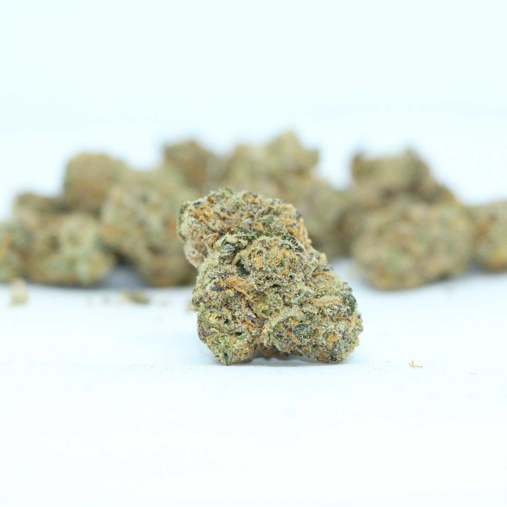 the loud plug exotic gas review cannabis photos 4 cannibros