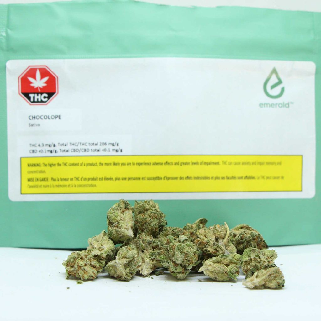 emerlad chocolope review cannabis photos 2 cannibros