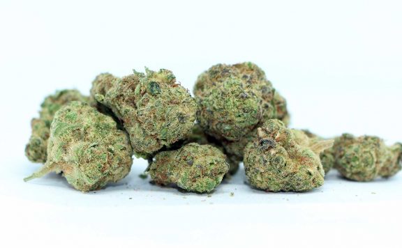 back forty fruity pebbles og review cannabis photos cannibros