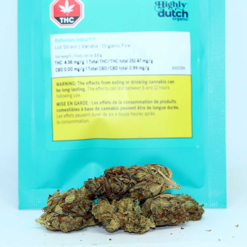 highly dutch organic rotterdam indica reivew cannabis photos 2 cannibros