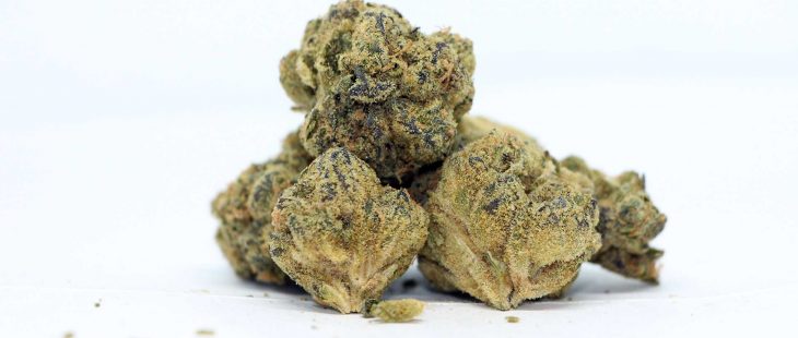 natural history fruit cake review cannabis photos 5 cannibros