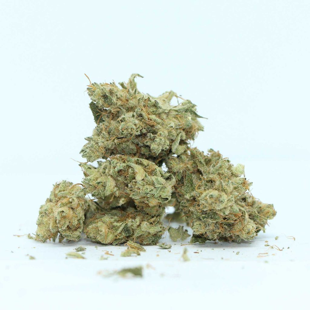 ogen early glue review cannabis photos 3 cannibros