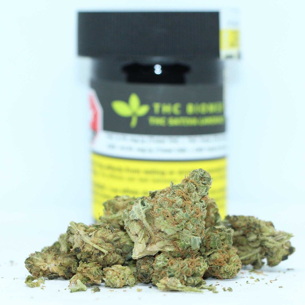 thc biomed thc sativa landrace review cannabis photos 2 cannibros