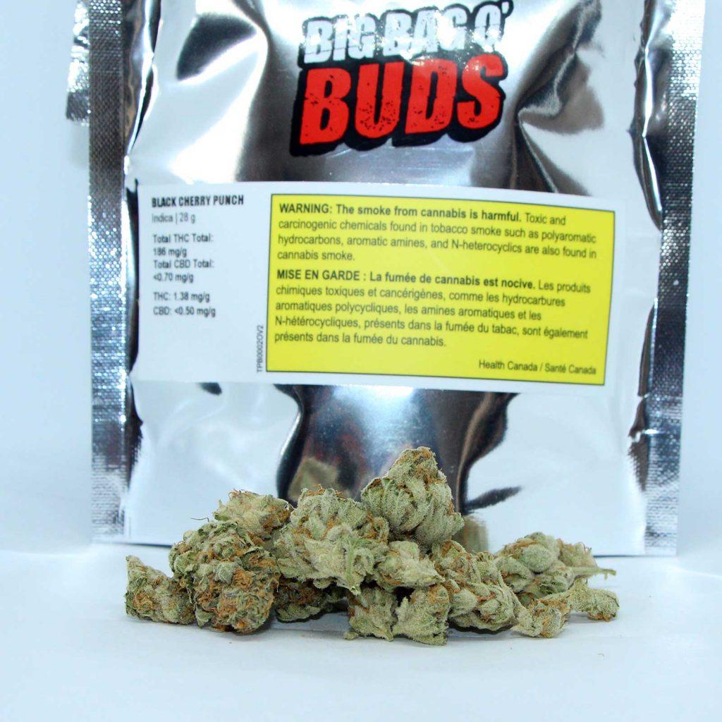 big bag o buds black cherry punch review cannabis photos 2 cannibros