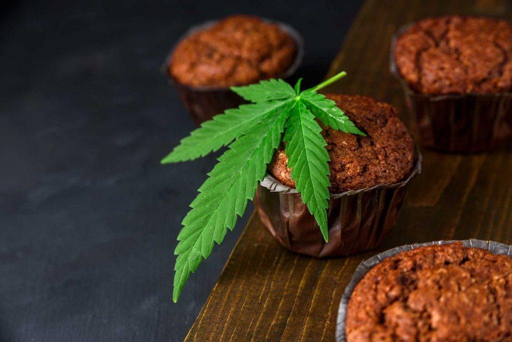 can cannabis help eating disorders