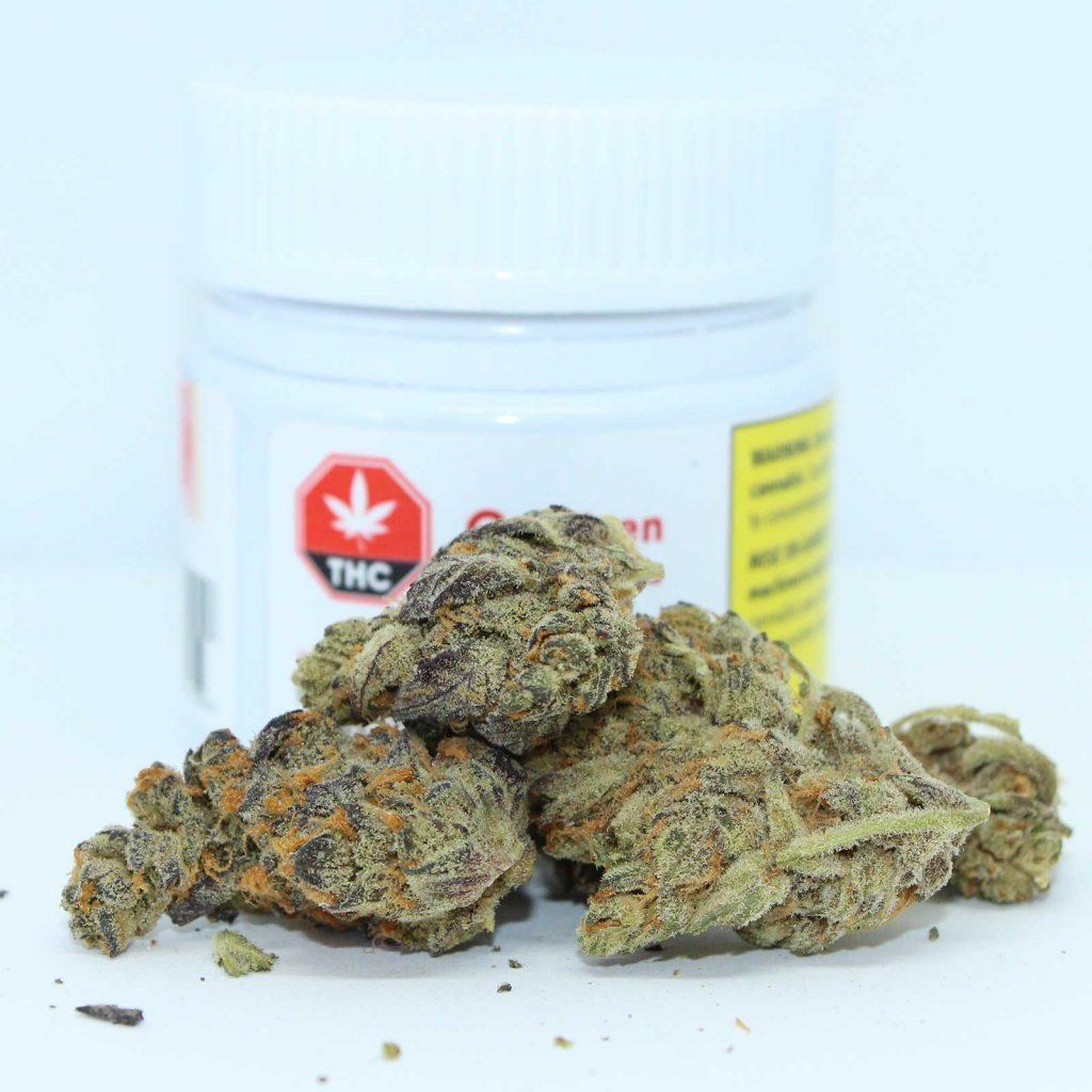 citizen stash fpog review cannabis photos 2 cannibros