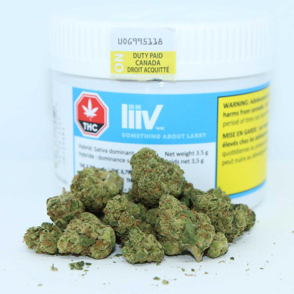 liiv something about larry review cannabis photos 2 cannibros
