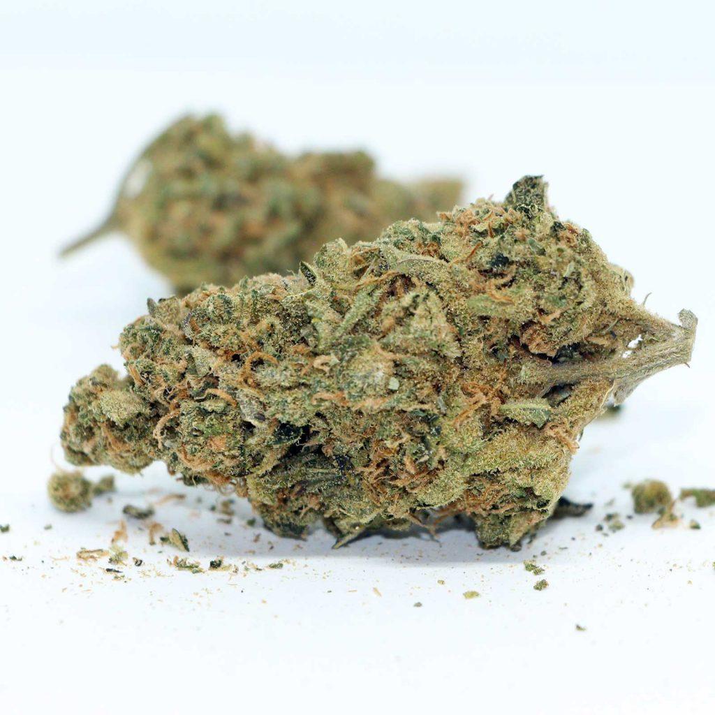 low banks grow citrique review cannabis photos 4 cannibros