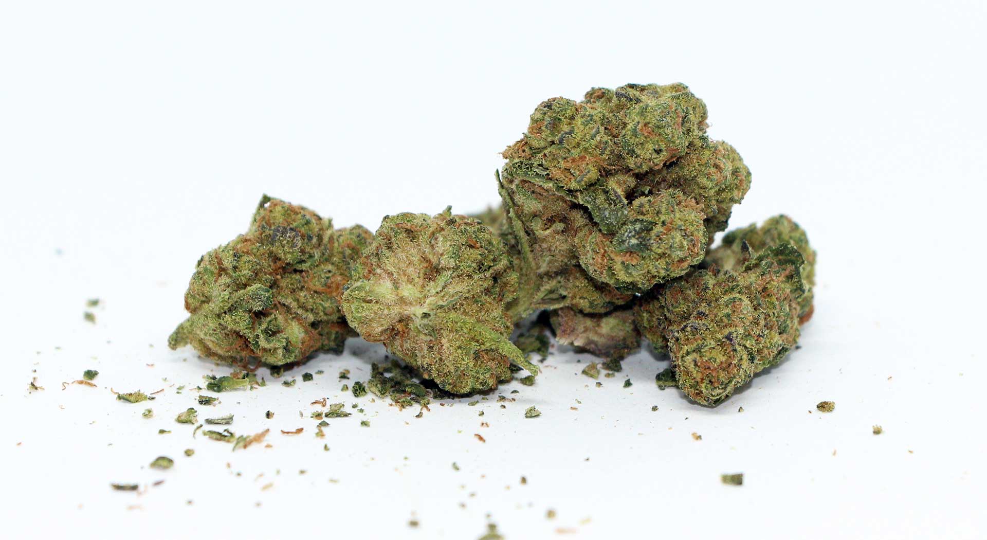 Twd Garlic Jelly Review & Cannabis Photos