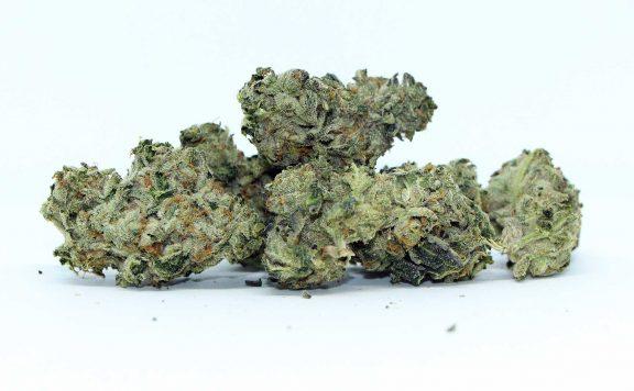 big bag o buds icc review cannabis photos 5 merryjade