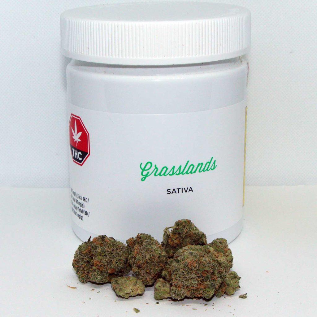 grasslands sativa review cannabis photos 2 merryjade