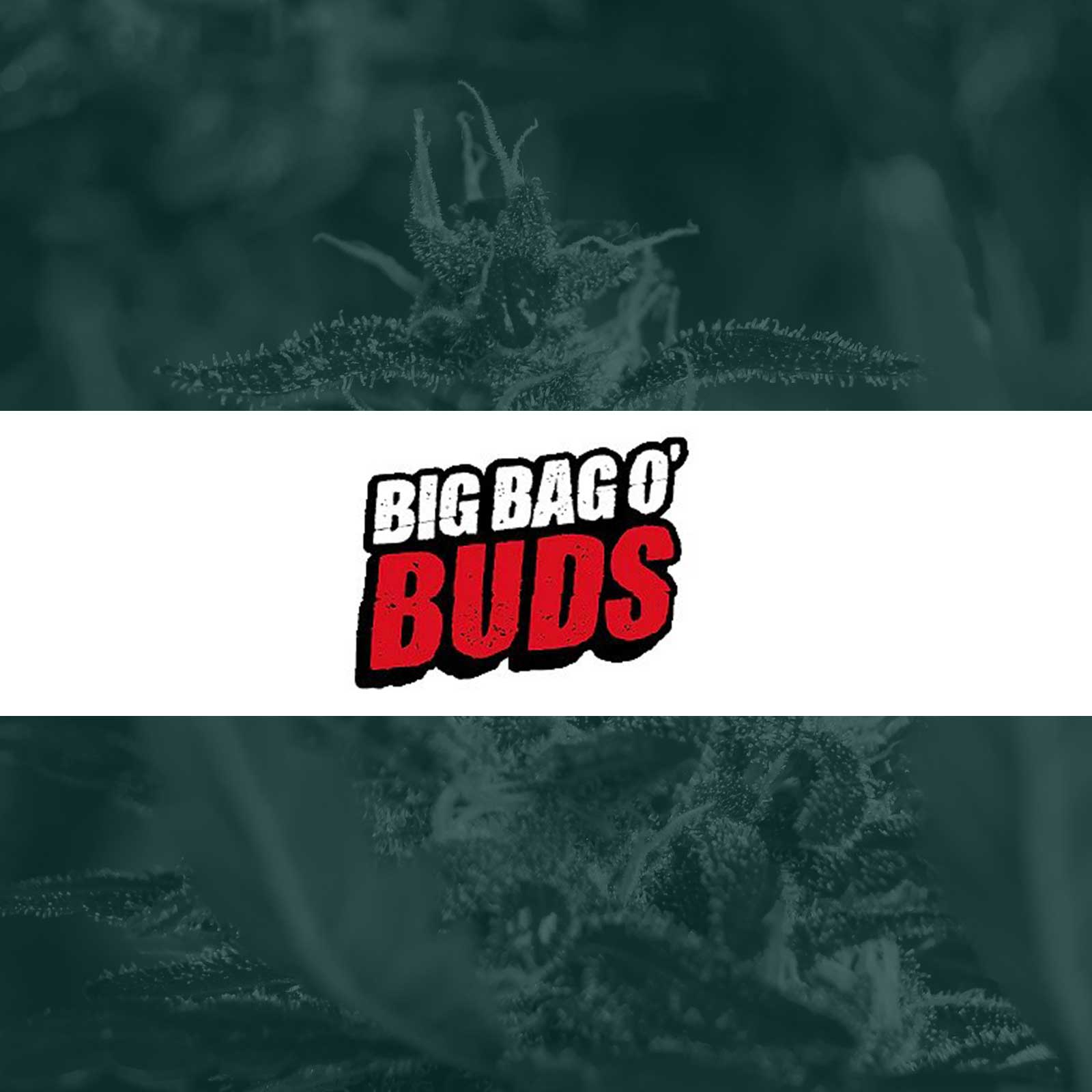 Big Bag O Buds