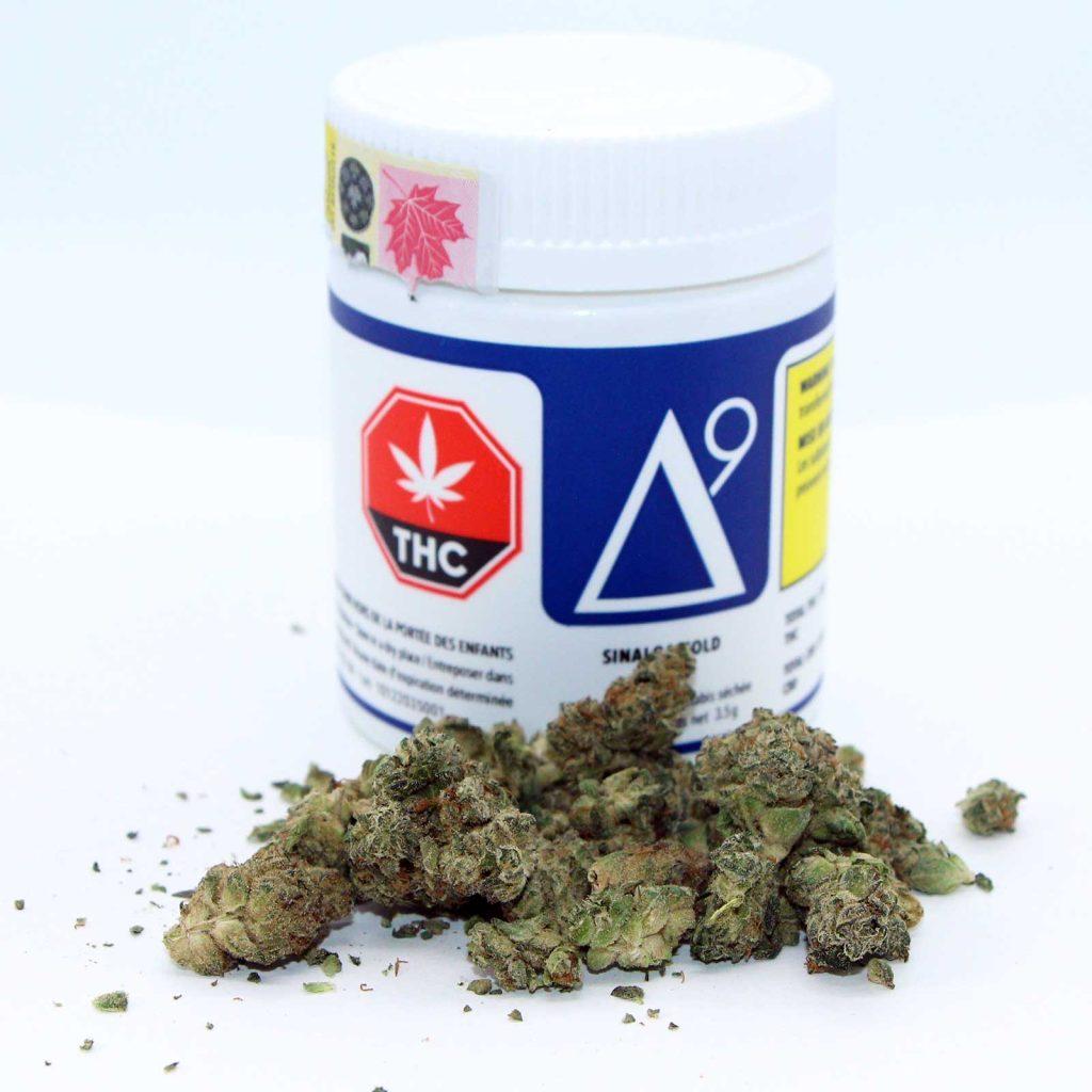 delta 9 sinaloa gold review cannabis photos 2 merryjade