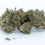mtl cannabis cookies n cream review cannabis photos 5 merryjade