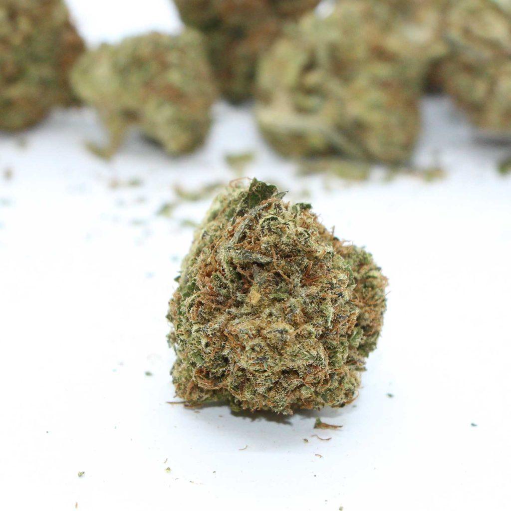 redecan sour diesel review cannabis photos 4 merryjade