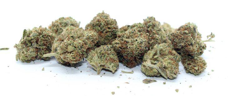 redecan sour diesel review cannabis photos 5 merryjade