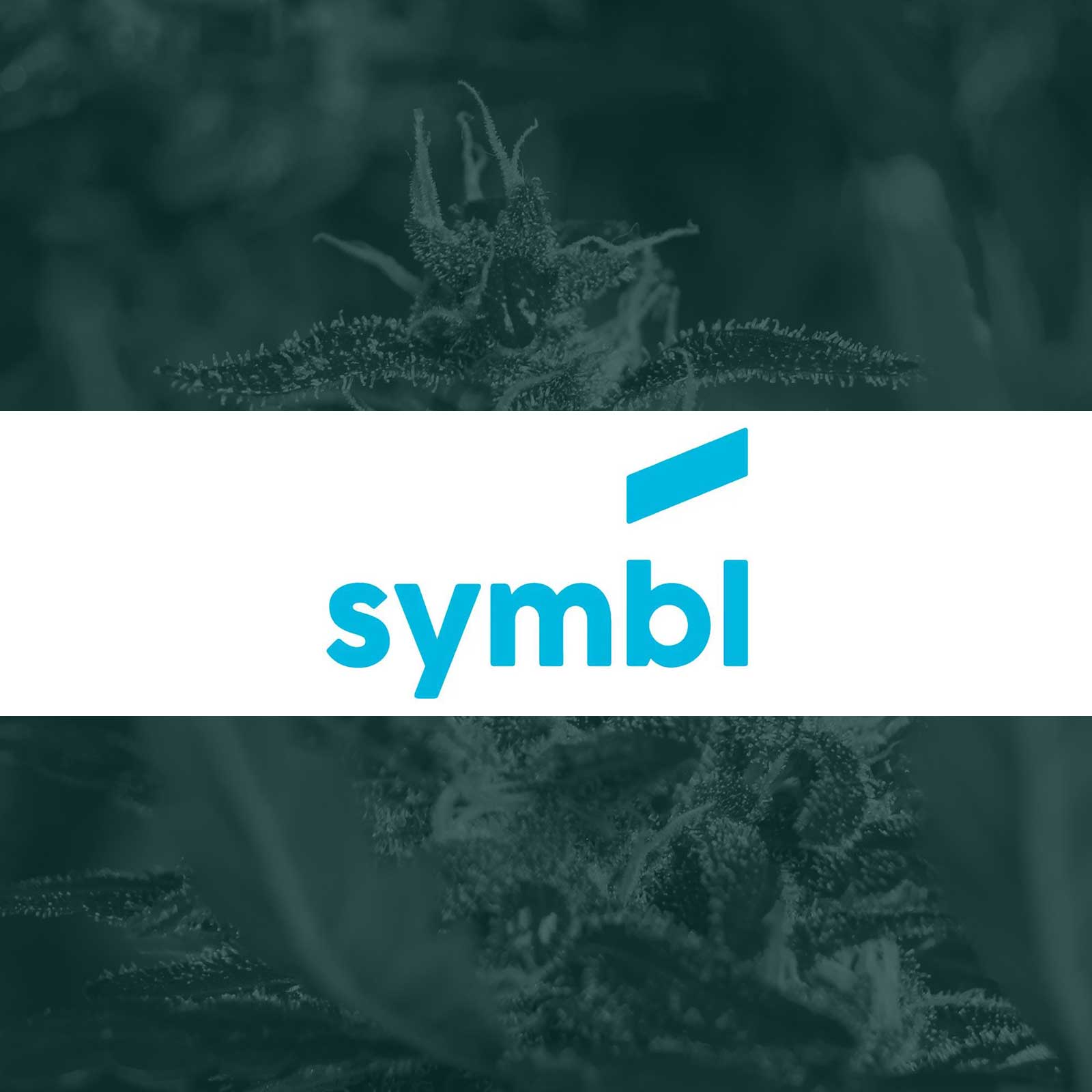 Symbl