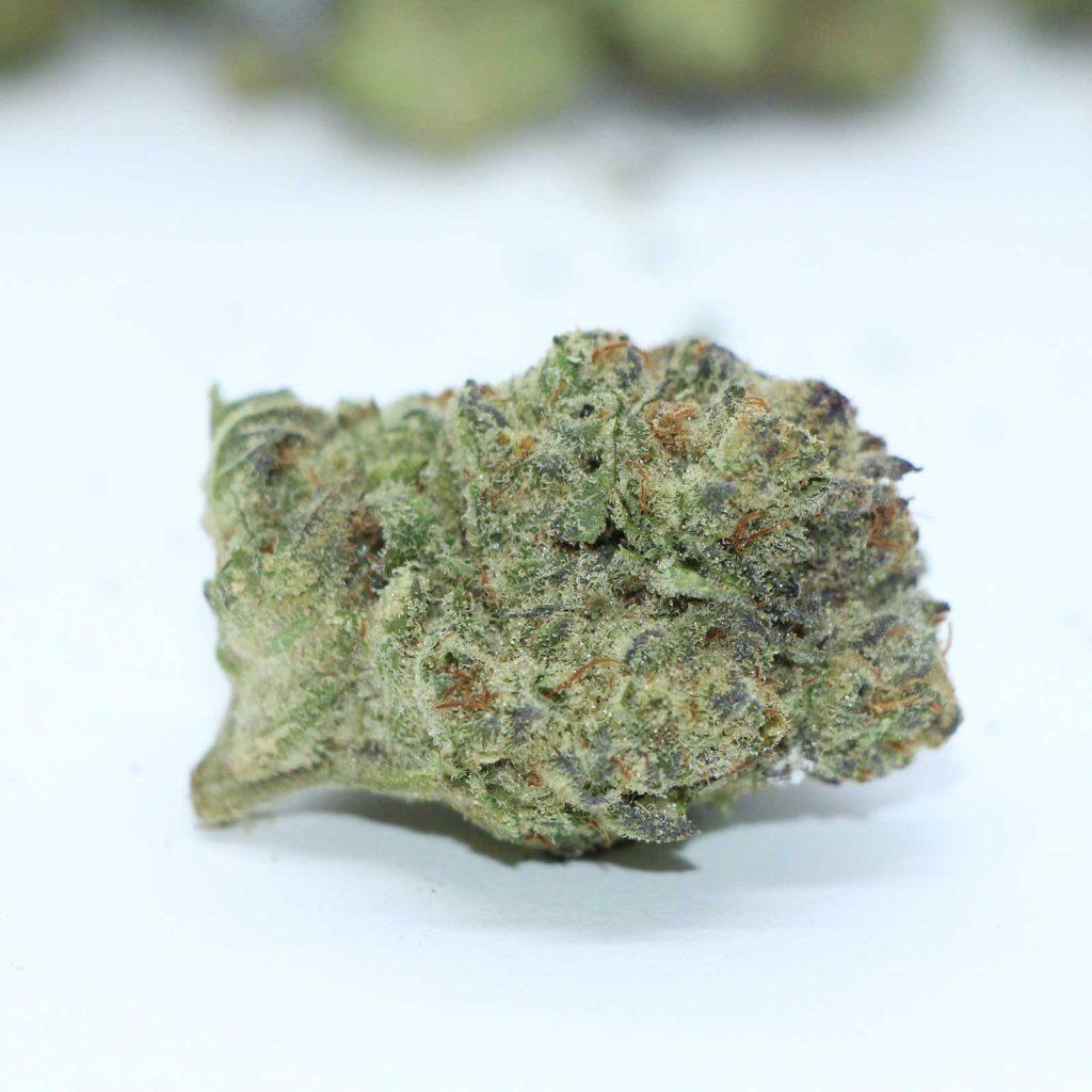 back forty mandarin cookies review cannabis photos 4 merry jade