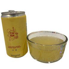 Cann Social Tonic THC & CBD Beverage Review