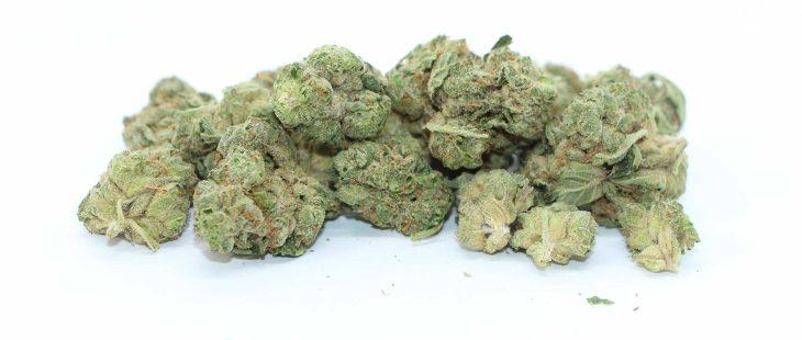 daily special gasberry pie review cannabis photos 5 merry jade