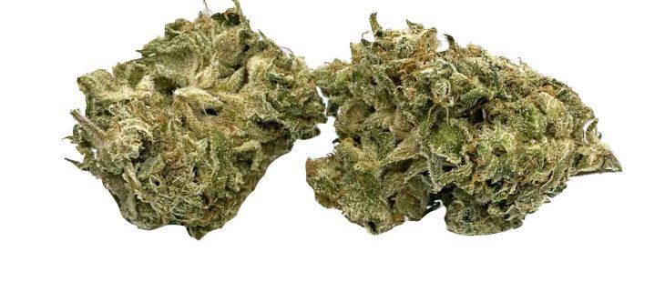 lowkey amnesia haze review cannabis photos 5 merry jade