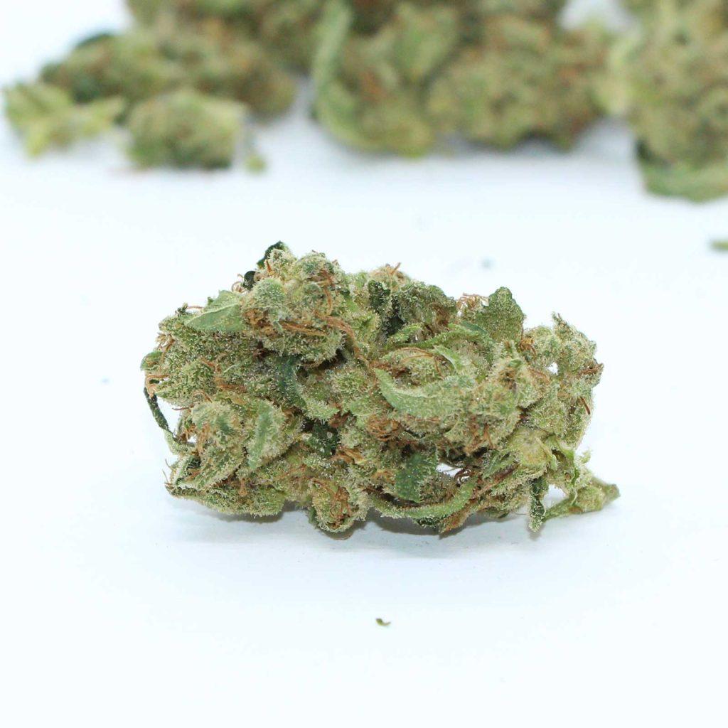 5points cannabis zsweet review photos 4 merry jade