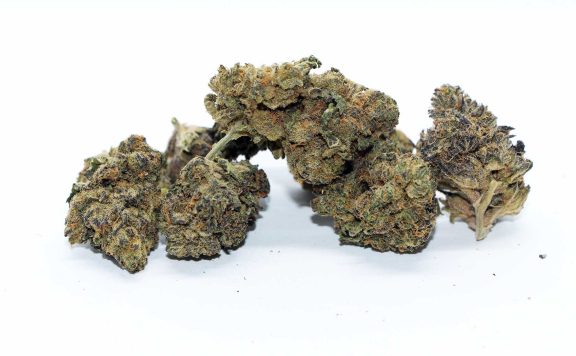 muskoka grown muskoka kush review cannabis photos 5 merry jade