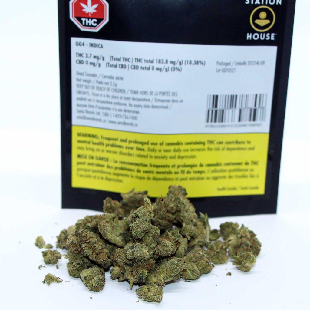 station house gg4 review cannabis photos 2 merry jade