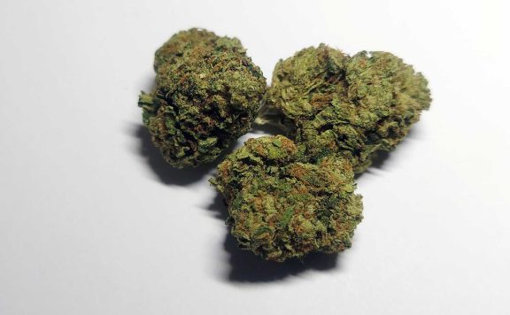 alien labs area 41 review cannabis photos 6 merry jade