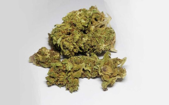 hightide sherblato review cannabis photos 6 merry jade