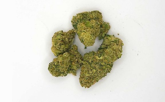 bc black victoria cannabis co mango mac review photos 5 merry jade