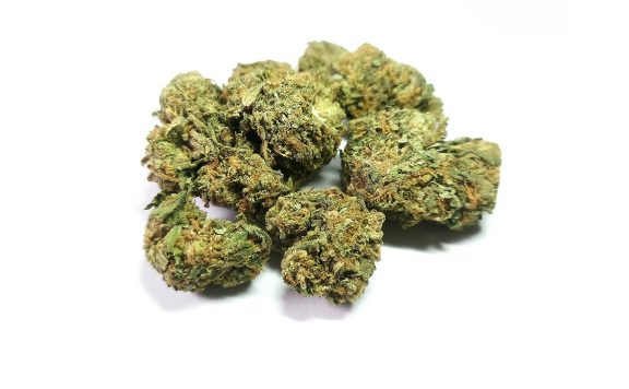 cali kosher bacio review cannabis photos 6 merry jade