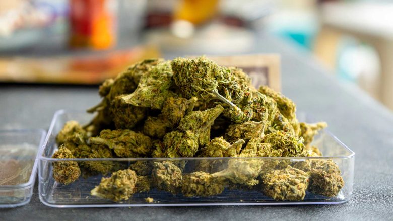 how to pick the right cannabis strain