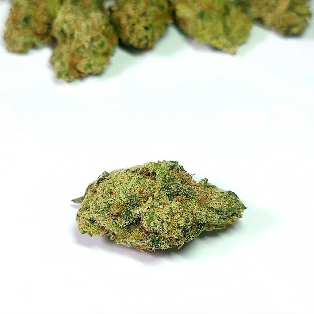 seven leaves jupiter jack review cannabis photos 5 merry jade