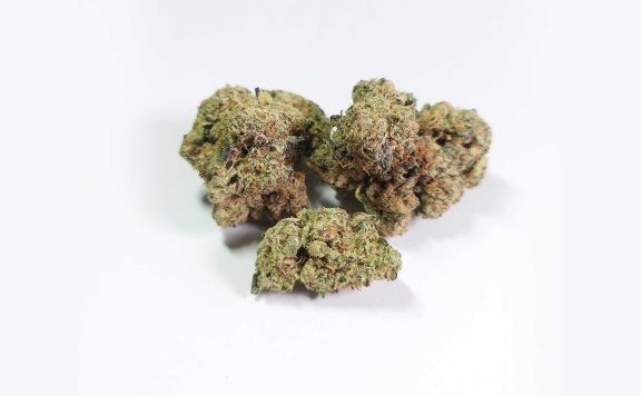 delighted angel food review cannabis photos 6 merry jade