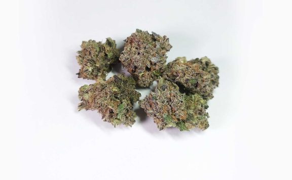 green dawg cultivators maracuya review cannabis photos 6 merry jade