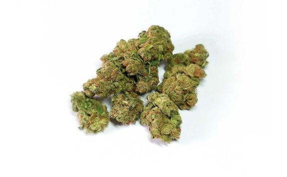 henrys original horchata review cannabis photos 6 merry jade