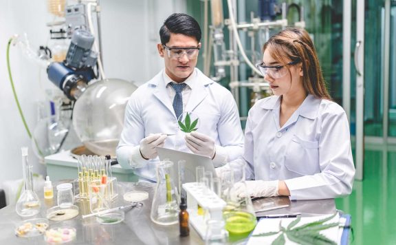 What is the Endocannabinoid System