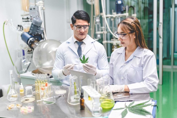 What is the Endocannabinoid System