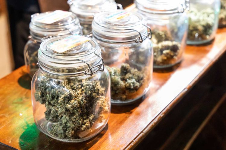 what is a budtender