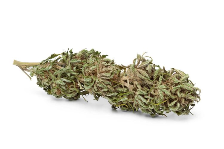 what is cannabis larf