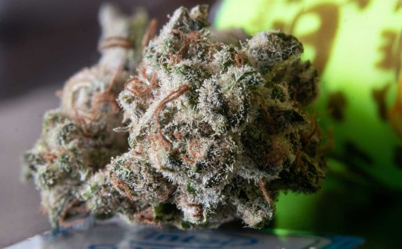 What are the Big Six Cannabinoids